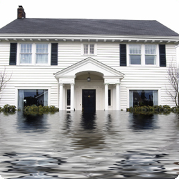 water-damage-image water damage image Water Damages/Extractions