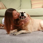 puppylove12 16 150x150 Grand Prairie Carpet Cleaning Reviews