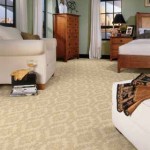 Best Grand Prairie carpet cleaners Best cleaner carpets in Grand Prairie