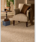 Discount Addison Carpet Cleaners carpet cleaning services tulsa 150x150 Discount Addison Carpet Cleaners