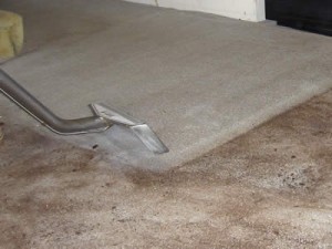 Best carpet cleaning in Dallas Remove dirt, dust and allergens from your carpet.