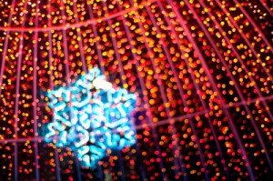 We'll take care of cleaning your carpet. You go have some Christmas fun in Frisco!