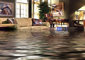 water damage restoration carpet cleaning Specialist repairs water damage in Dallas home