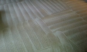 Dining room carpet, pic 1