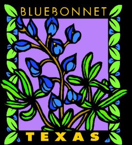 Bluebonnet Texas