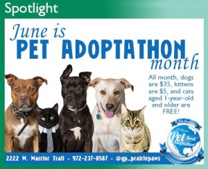 June is Pet Adoptathon, GP