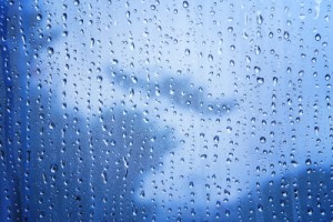 More rain for The Colony? Still dealing with flooded carpets? Call us to handle all of your water extraction needs!